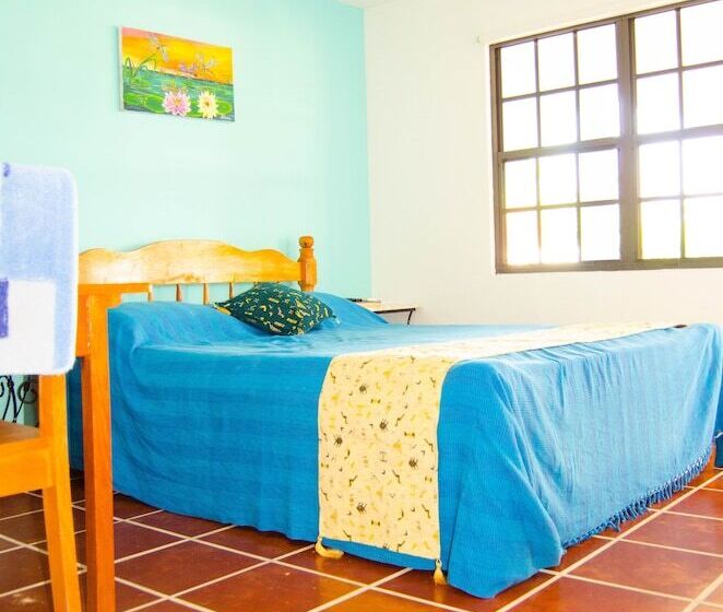 هاستل Bamboleo Inn Belize