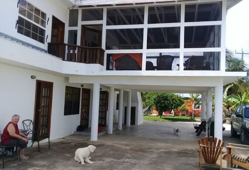 هاستل Bamboleo Inn Belize