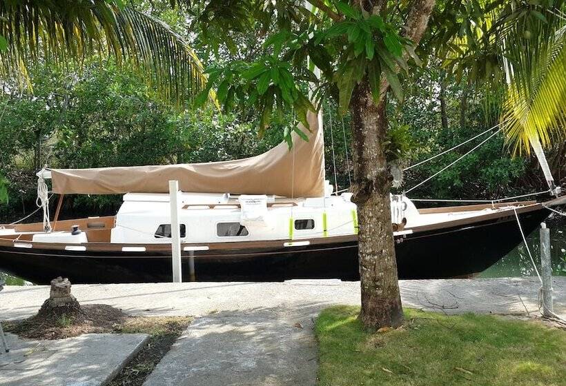هاستل Bamboleo Inn Belize