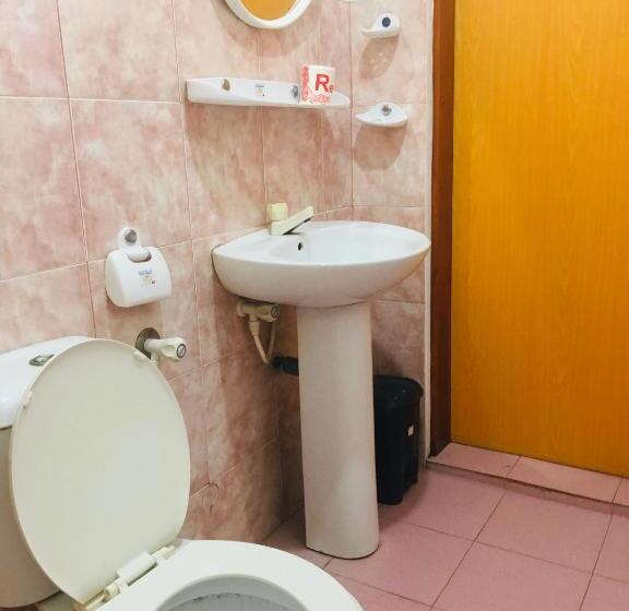 Общежитие Dilena Beach Inn