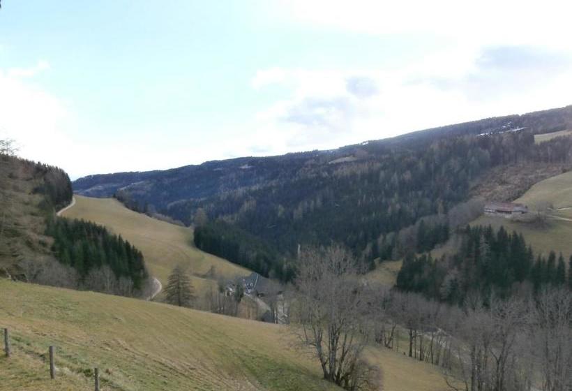 ホテル Leitnerhütte