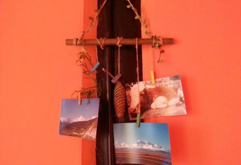 پانسیون Kevin's Trekker Inn