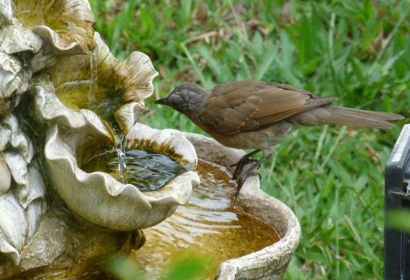 پانسیون Lodge Takini 4