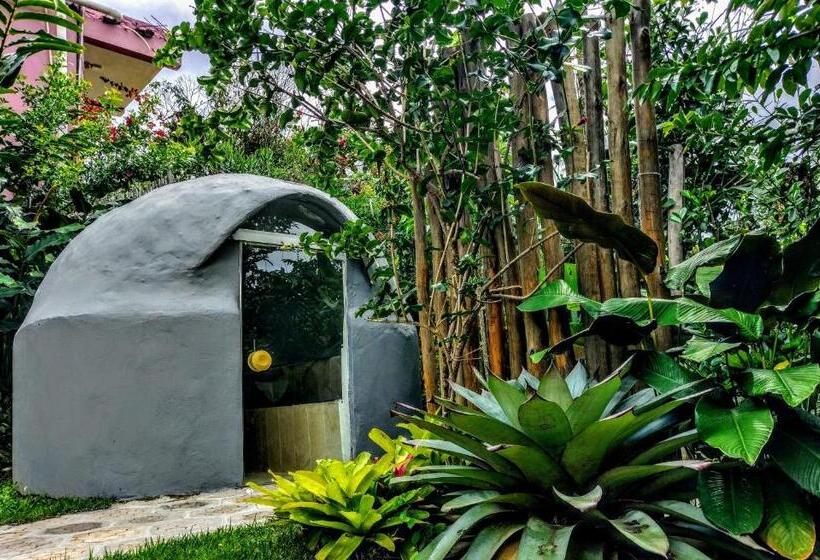 Пансион Pousada Zazen