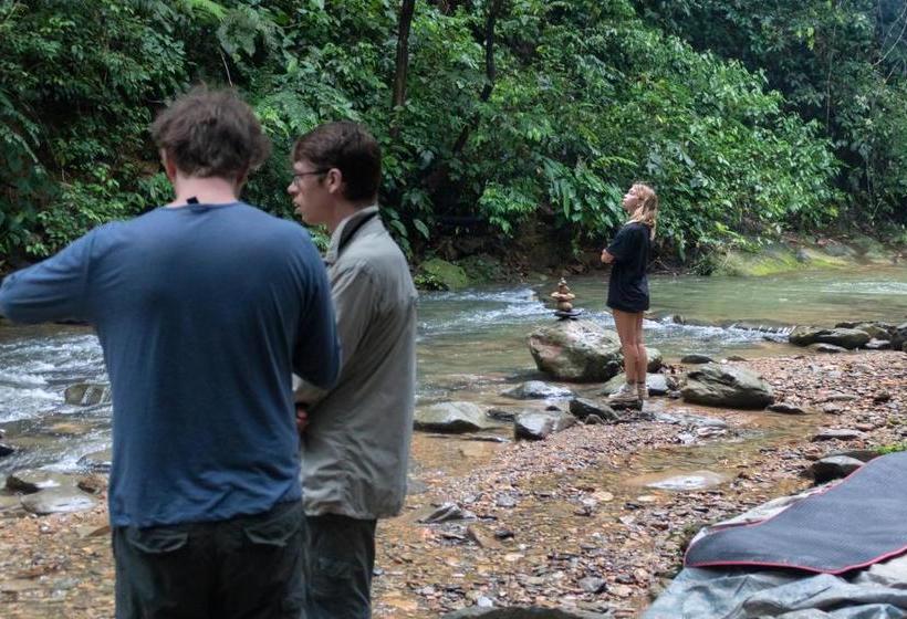 پانسیون Rain Forest Guest House