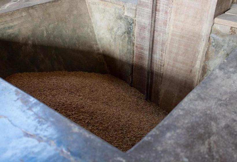 پانسیون Rain Forest Guest House