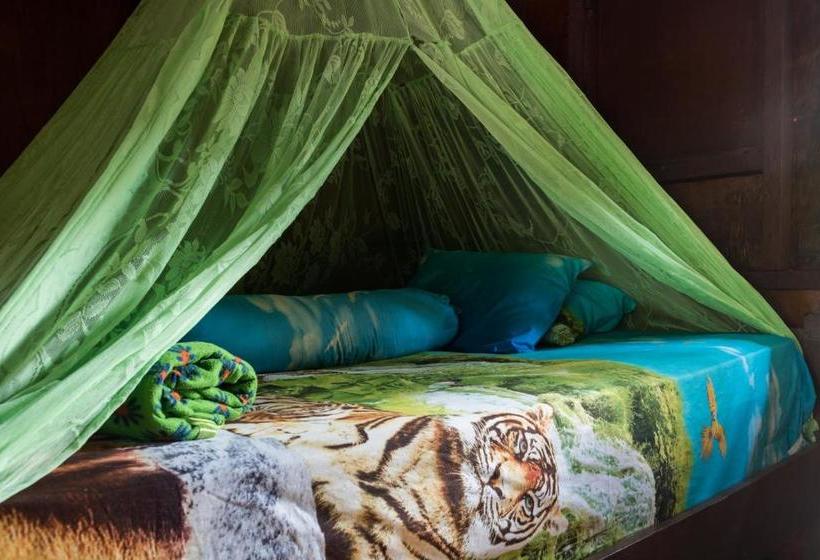 پانسیون Rain Forest Guest House