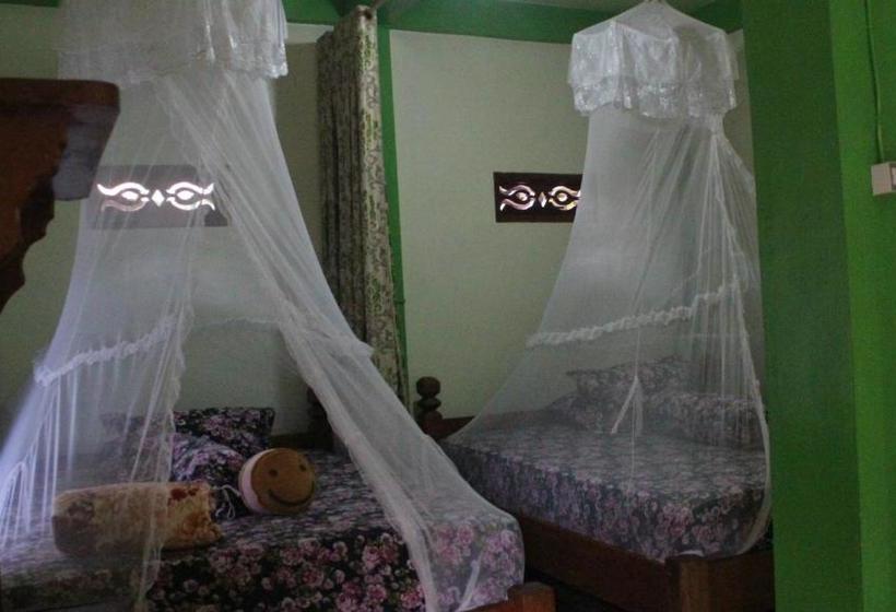 پانسیون Rain Forest Guest House