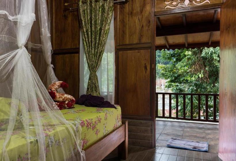 پانسیون Rain Forest Guest House