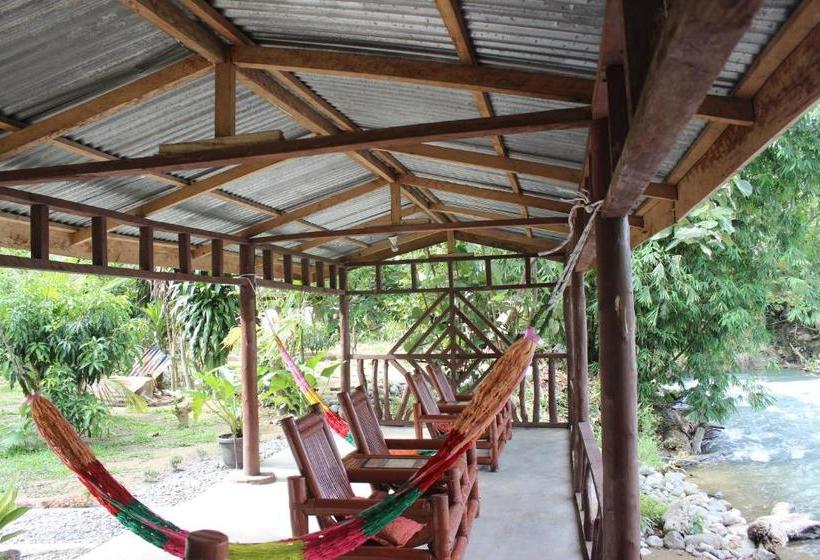 پانسیون Rain Forest Guest House