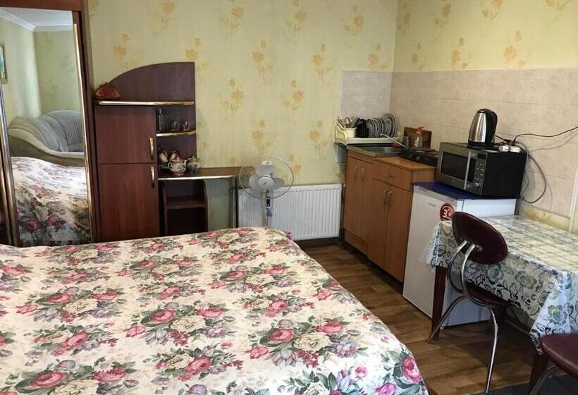 펜션 Shevchenka Guest House от 600гр 1 2 3к квартири 096 55 48 111 біля академії