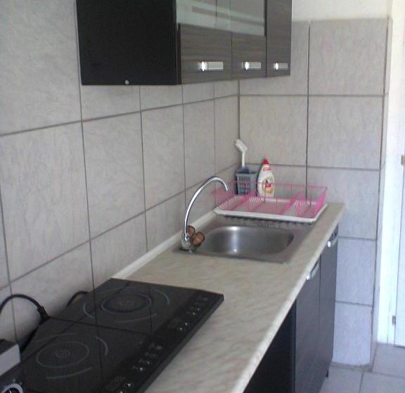 پانسیون Alpesi Apartman Downtown