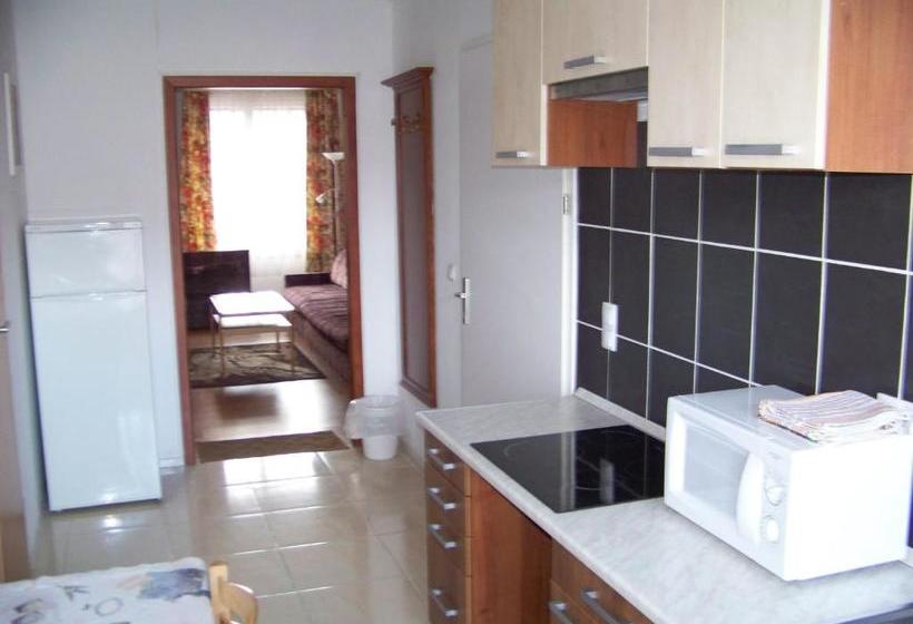 پانسیون Alpesi Apartman Downtown