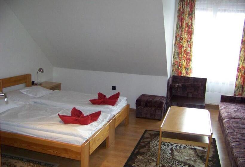 پانسیون Alpesi Apartman Downtown