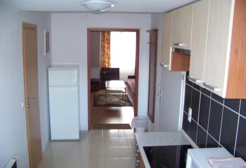 پانسیون Alpesi Apartman Downtown
