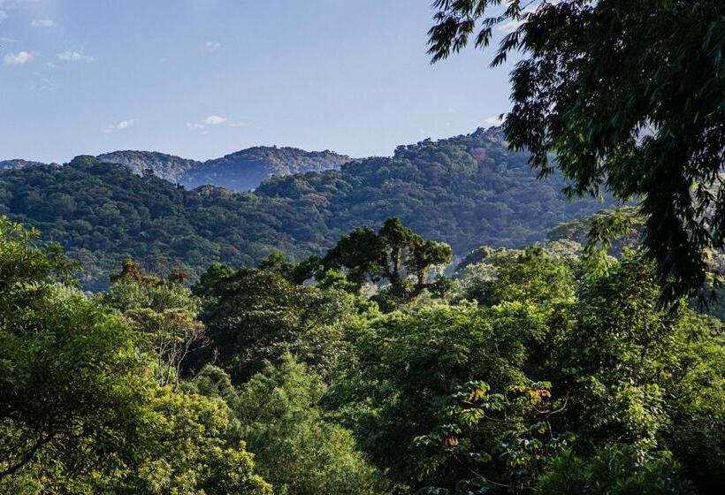 ペンション Casa Bacarirá   Floresta Com Yoga E Café Da Manhã Vegano