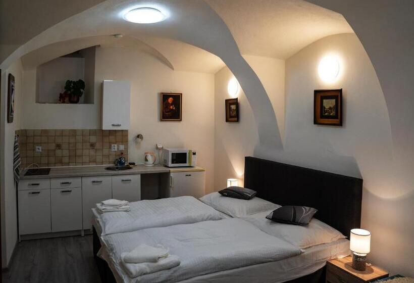 پانسیون Penzion U Hejtmana