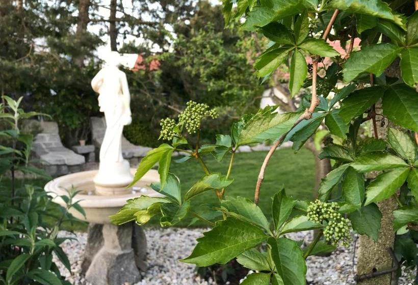 پانسیون Relaxační Studio Vera S Ubytováním