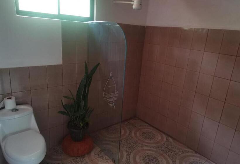هاستل Hostal Cecilia