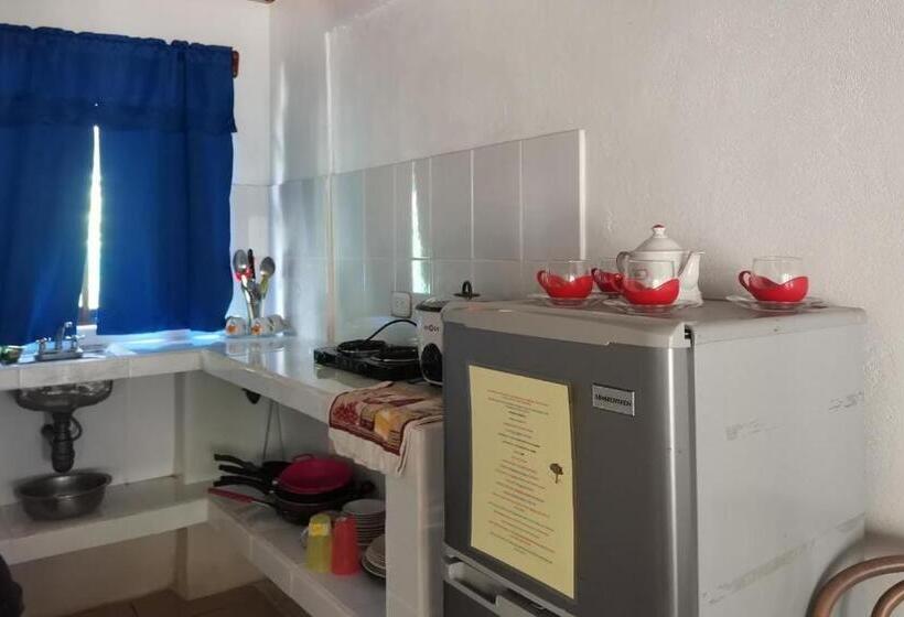 هاستل Hostal Cecilia