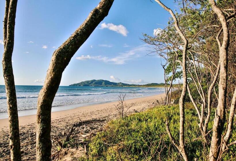 هاستل Pipe House Playa Grande