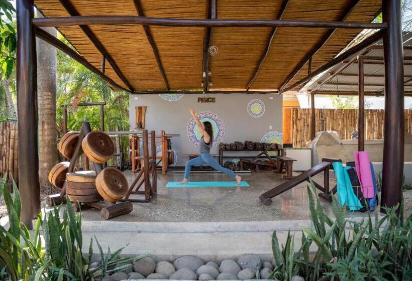 هاستل Pipe House Playa Grande