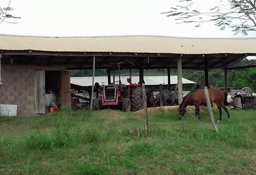 بنسيون Don Santiago Guesthouse Downtown