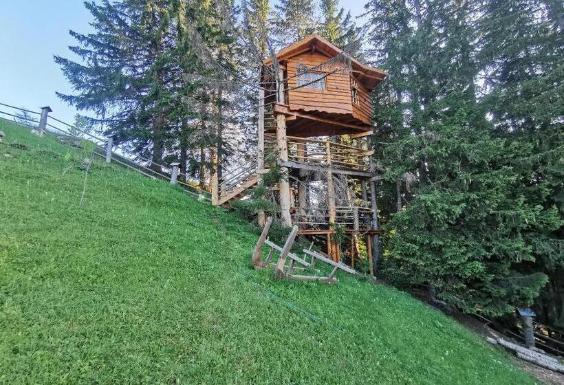 پانسیون Guesthouse Planinarski Dom Neviđen'o