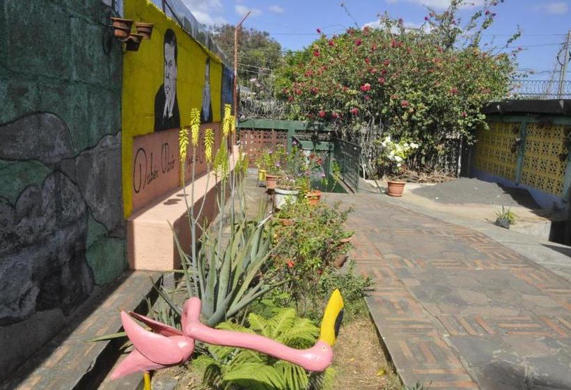 هاستل Esgueva House