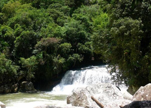فندق صغير Sitio Flor Das Aguas