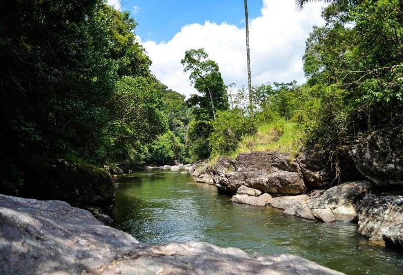 فندق صغير Sitio Flor Das Aguas