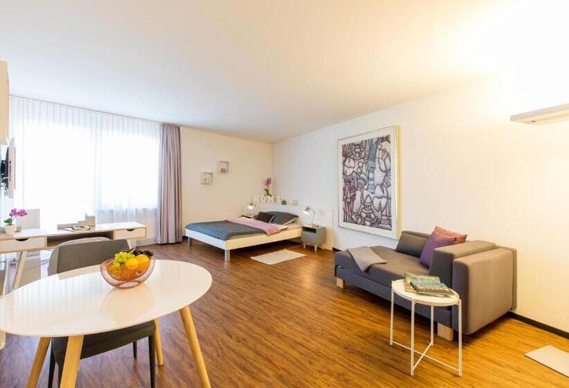 Apartmenthaus Zum Trillen Basel City Center