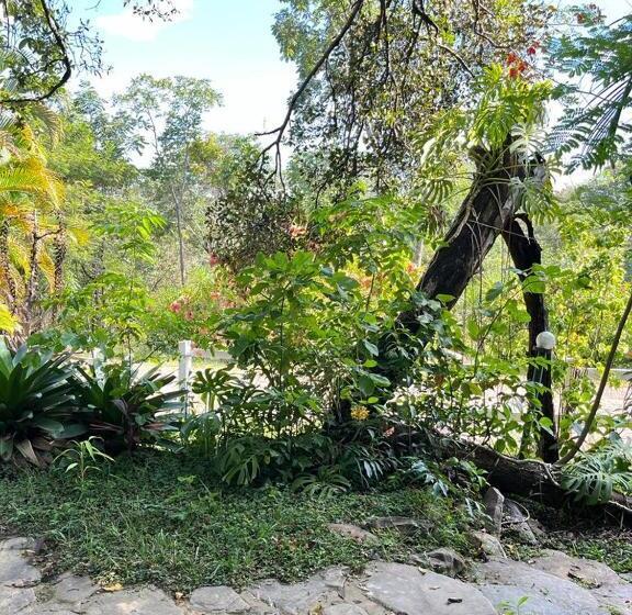 فندق Fazenda Tia Dora