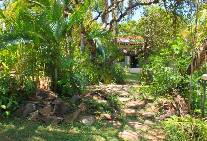فندق Fazenda Tia Dora