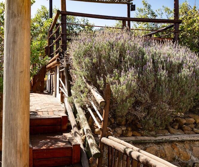 膳宿费 Capelands Wine Farm