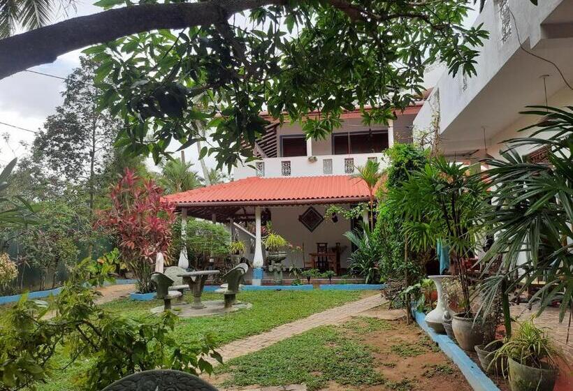 پانسیون Guest House Basilea