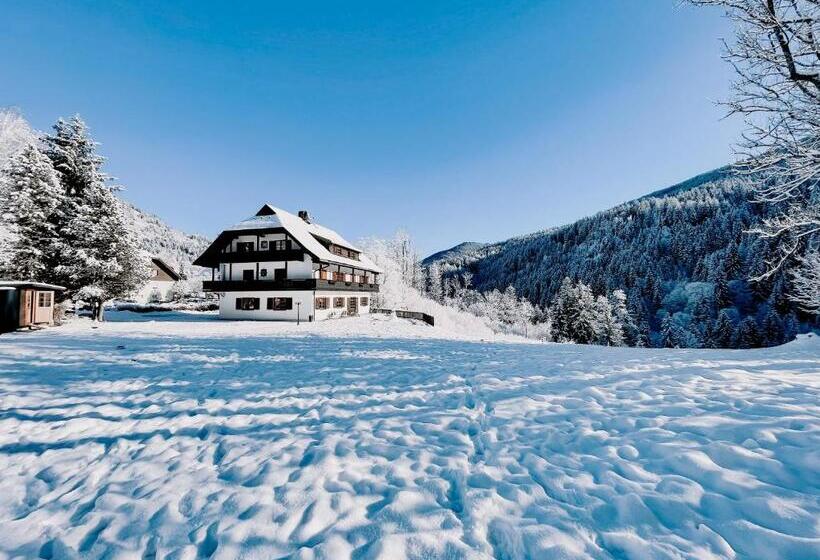 הוסטל Pension Gasthof Arriach