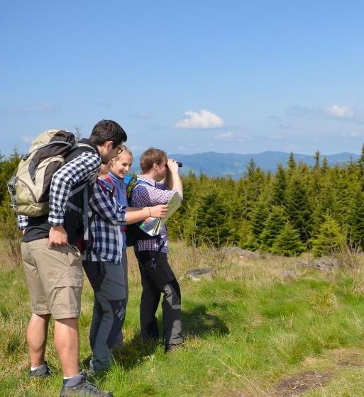 旅馆 Wildwiesenhof