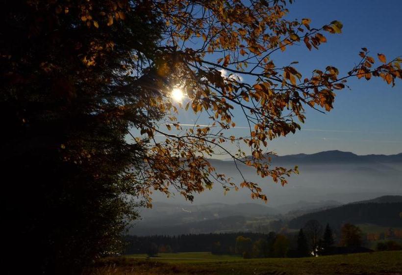 旅馆 Wildwiesenhof