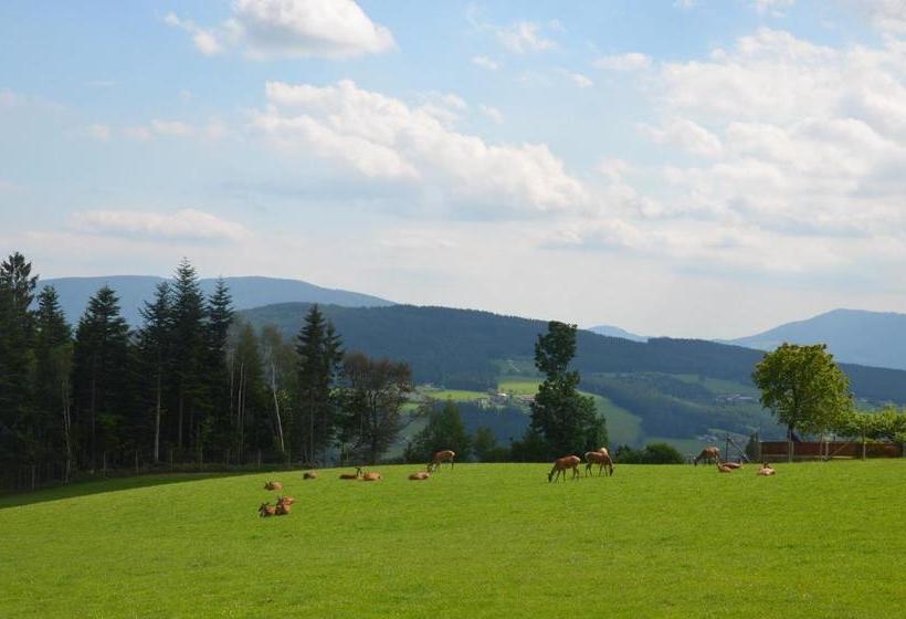 旅馆 Wildwiesenhof