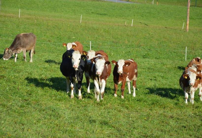 فندق Bauernhof Unterhöfner