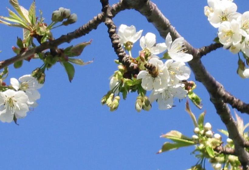 فندق Bauernhof Unterhöfner