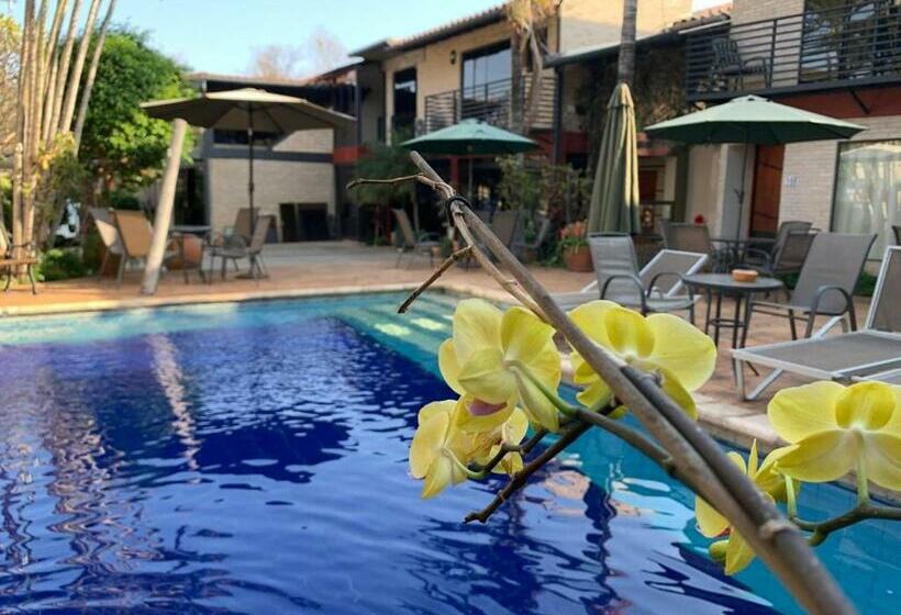 هتل Sol De Luque Casa