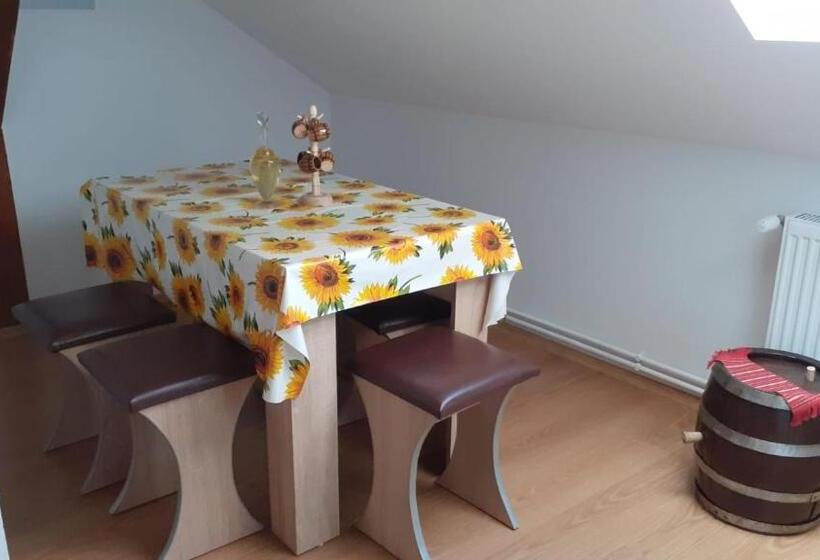 פנסיון Casa Raisa & Maria