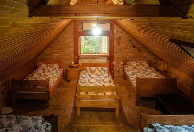 پانسیون Lodging Vidmar