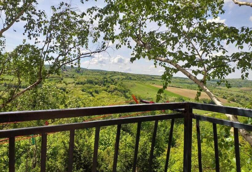 پانسیون Lodging Vidmar