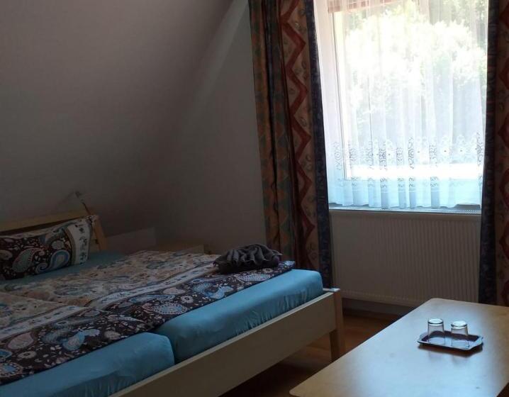 پانسیون Penzion U štoly Jáchymov