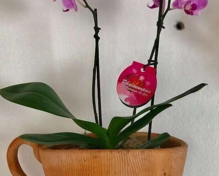 پانسیون Pousada Arraial Da Poesia