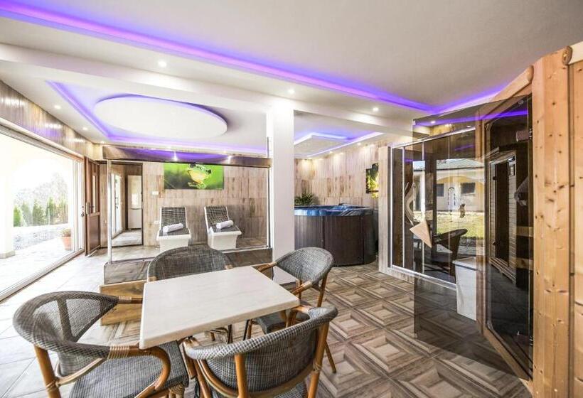 پانسیون Sunčani Breg Apartments Vrdnik