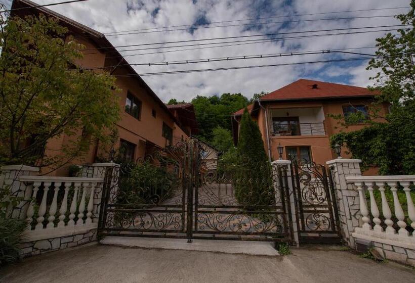 پانسیون Dupa Apa La Razvan